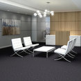 ELEMENTAL-54921-PRIMARY-00400-room-image