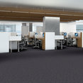 ELEMENTAL-54921-PRIMARY-00400-room-image