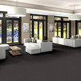ELEMENTAL-54921-ESSENTIAL-00507-room-image