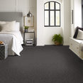 ELEMENTAL-54921-ESSENTIAL-00507-room-image