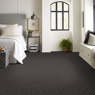 ELEMENTAL-54921-VITAL-00510-room-image