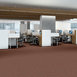 ELEMENTAL-54921-INTEGRAL-00600-room-image