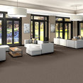 ELEMENTAL-54921-SUSTAINABLE-00700-room-image