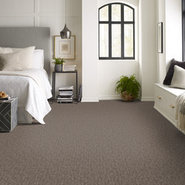 ELEMENTAL-54921-SUSTAINABLE-00700-room-image