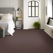 ELEMENTAL-54921-CENTRAL-00800-room-image