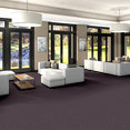 ELEMENTAL-54921-PRINCIPLE-00900-room-image