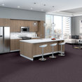 ELEMENTAL-54921-PRINCIPLE-00900-room-image