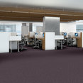 ELEMENTAL-54921-PRINCIPLE-00900-room-image