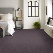 ELEMENTAL-54921-PRINCIPLE-00900-room-image