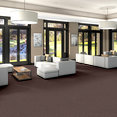 ENGRAIN-54922-CENTRAL-00800-room-image