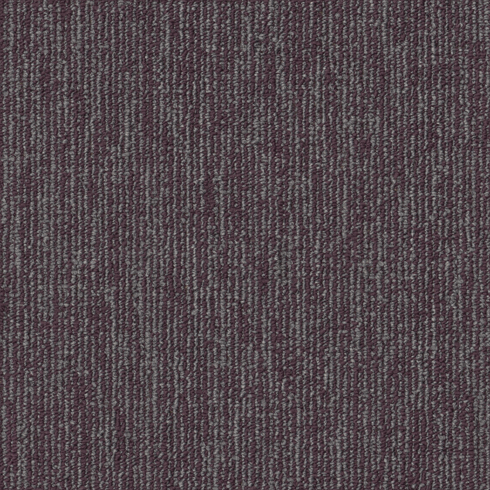 Engrain-Principle-54922_00900