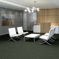 REFINE-54923-PRIMITIVE-00300-room-image