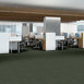 REFINE-54923-PRIMITIVE-00300-room-image