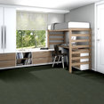 REFINE-54923-PRIMITIVE-00300-room-image