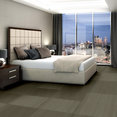 PRACTICAL-54924-EFFECTIVE-24200-room-image