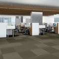 PRACTICAL-54924-EFFECTIVE-24200-room-image