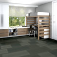 PRACTICAL-54924-SYSTEMATIC-24305-room-image