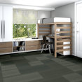 PRACTICAL-54924-SYSTEMATIC-24305-room-image