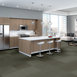 PRACTICAL-54924-SENSIBLE-24500-room-image
