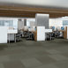 PRACTICAL-54924-SENSIBLE-24500-room-image