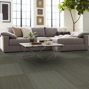PRACTICAL-54924-SENSIBLE-24500-room-image