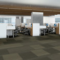 PRACTICAL-54924-FEASIBLE-24710-room-image
