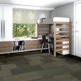 PRACTICAL-54924-FEASIBLE-24710-room-image