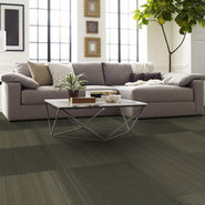 PRACTICAL-54924-FEASIBLE-24710-room-image