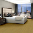 CIPHER-54925-VECTOR-00200-room-image