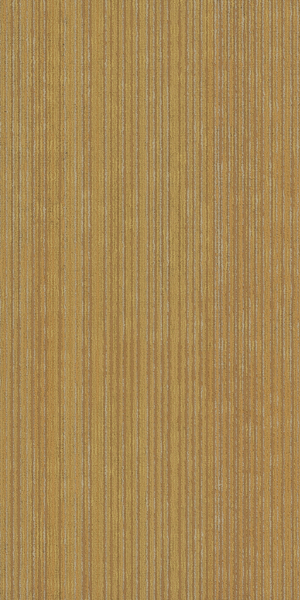 Cipher - Vector - 54925_00200