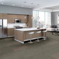CIPHER-54925-CYBER-00210-room-image