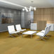 ENCODE-54926-VECTOR-00200-room-image