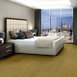 ENCODE-54926-VECTOR-00200-room-image