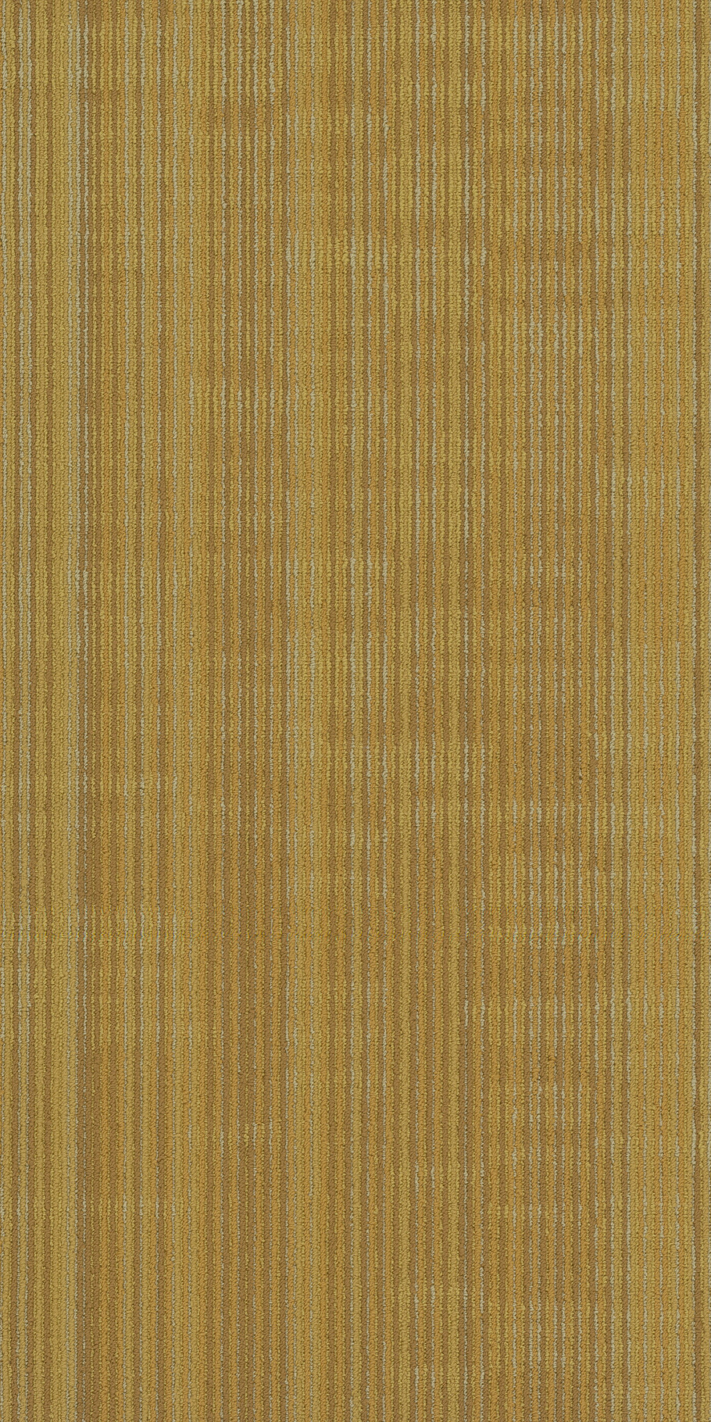 Encode - Vector - 54926_00200