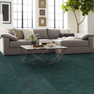 ENCODE-54926-HOLOGRAM-00300-room-image