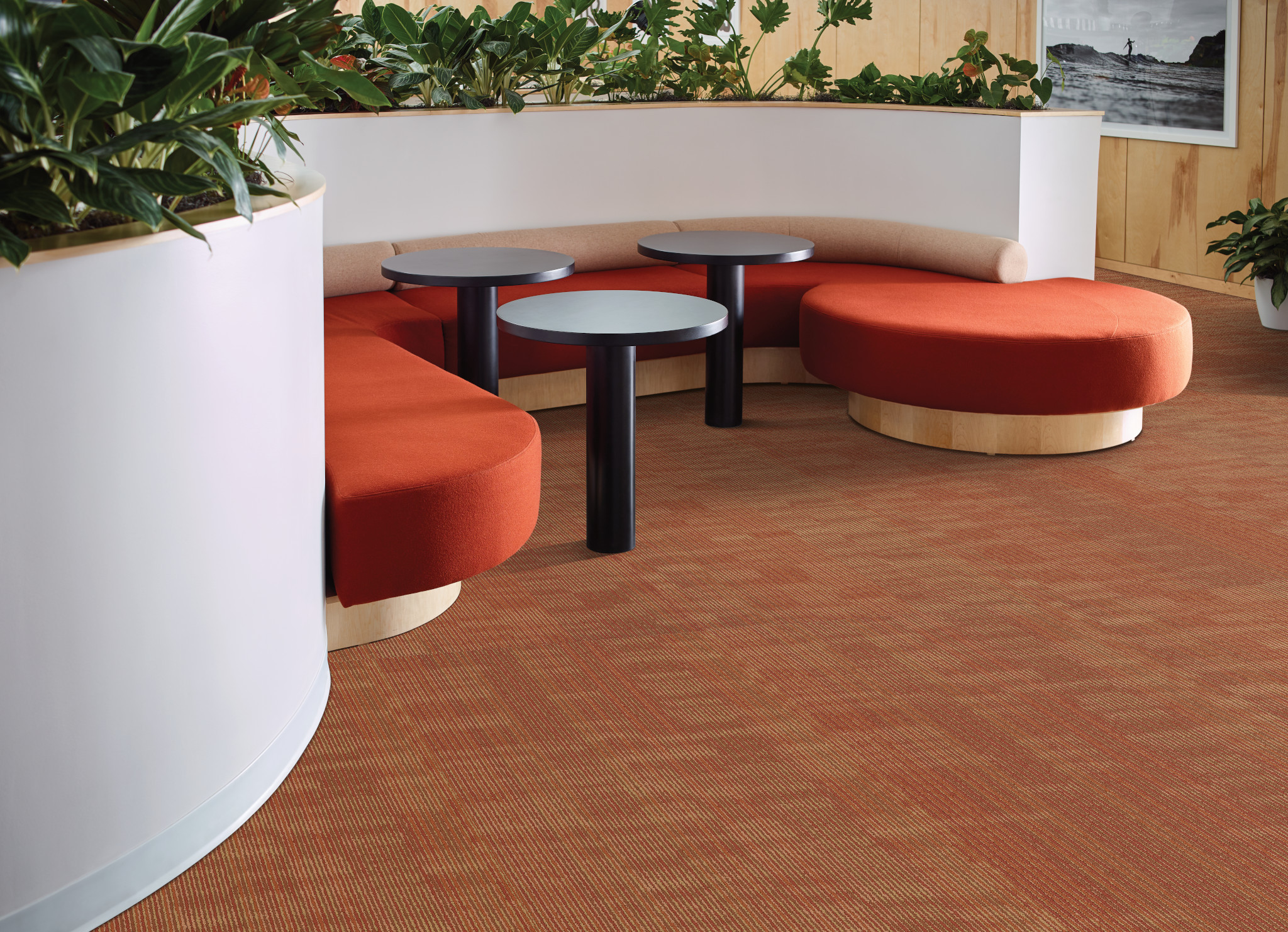 Encode - Electro - 54926_00600