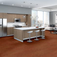 ENCODE-54926-ELECTRO-00600-room-image