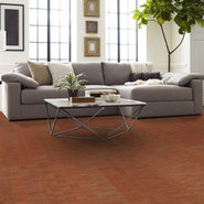 ENCODE-54926-ELECTRO-00600-room-image