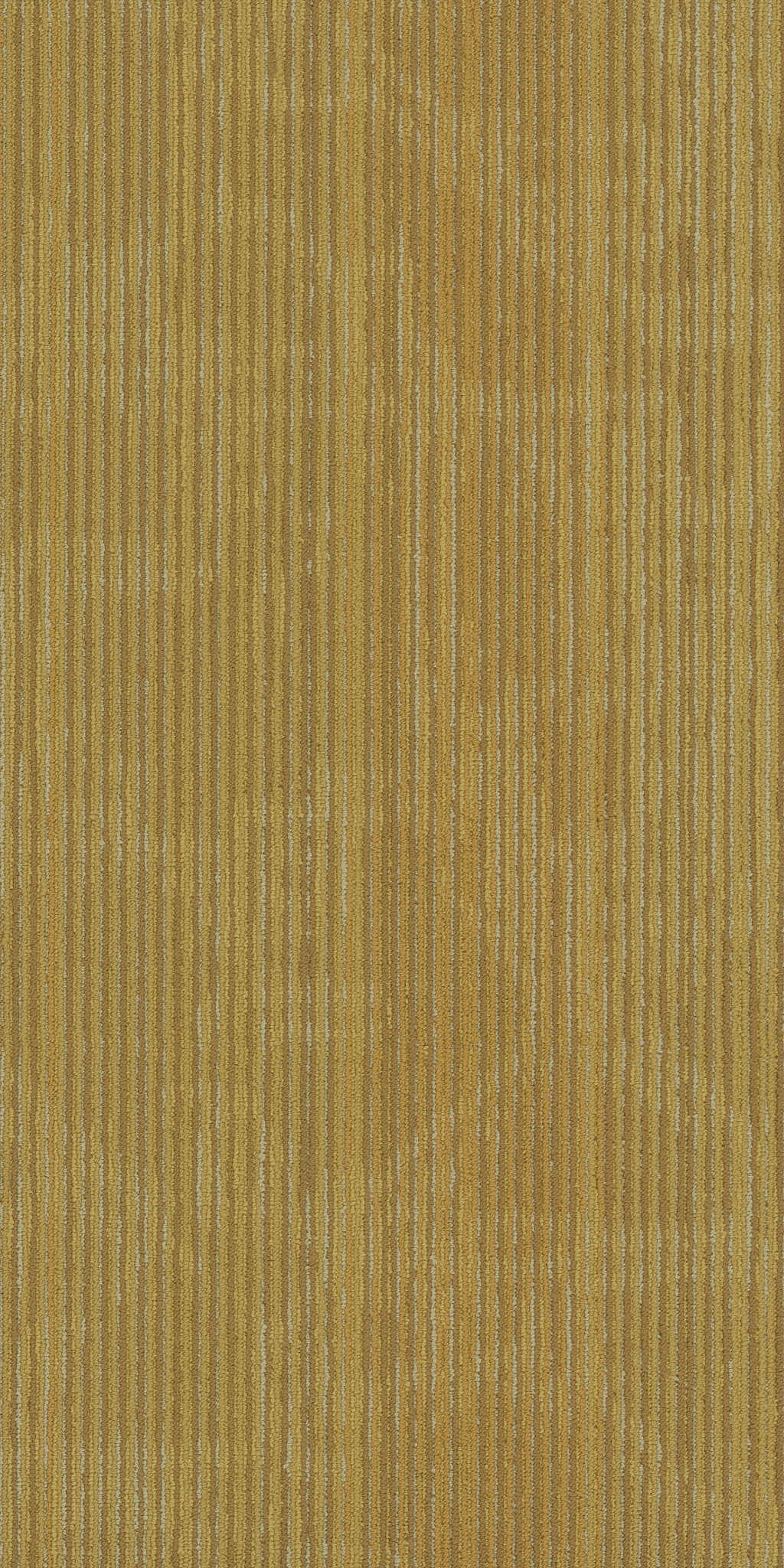 Encrypt-Vector-54927_00200