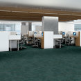 ENCRYPT-54927-HOLOGRAM-00300-room-image
