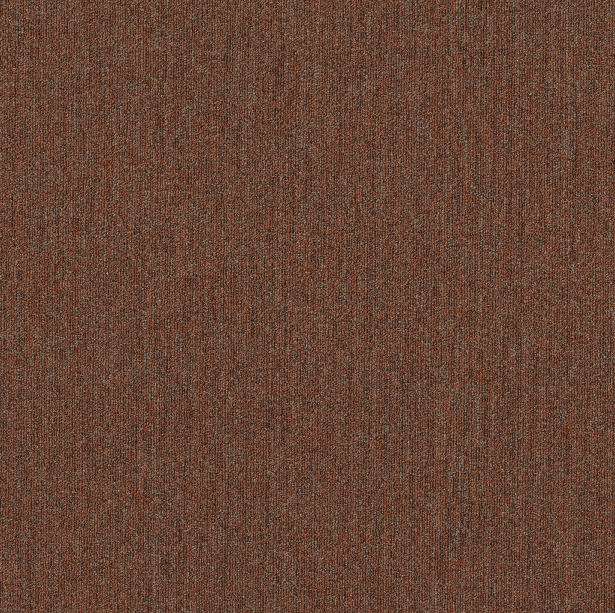 Profusion Tile - Surplus - 54931_00600