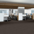 PROFUSION-TILE-54931-ABUNDANCE-00725-room-image