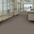 PROFUSION-20-54933-MASSES-00200-room-image