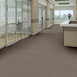 PROFUSION-20-54933-MASSES-00200-room-image