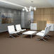 PROFUSION-20-54933-AMPLE-00230-room-image