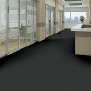 PROFUSION-20-54933-PLETHORA-00520-room-image