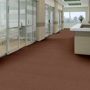PROFUSION-20-54933-SURPLUS-00600-room-image
