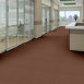 PROFUSION-20-54933-SURPLUS-00600-room-image