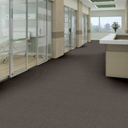 PROFUSION-20-54933-PILES-00702-room-image