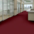 PROFUSION-20-54933-THRIVE-00830-room-image